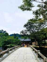 🌰 알밤처럼 영근 절, 공주 마곡사