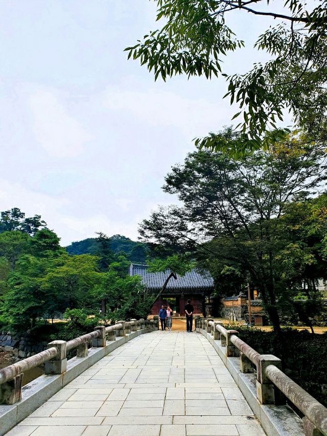 🌰 알밤처럼 영근 절, 공주 마곡사
