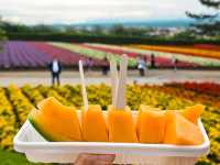 Farm Tomita Hokkaido