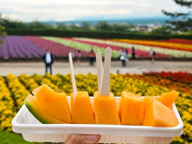 Farm Tomita Hokkaido