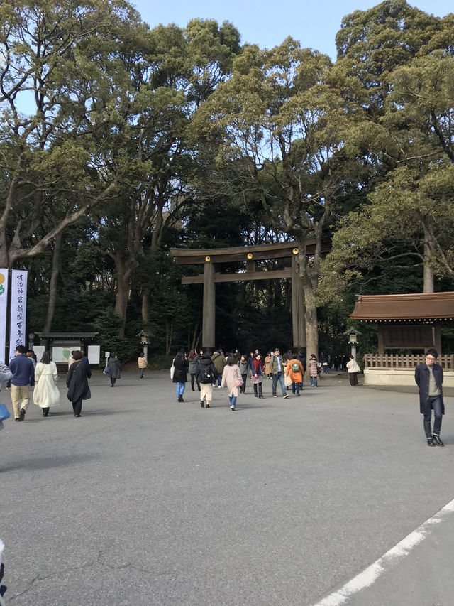 櫻花季東京五天四夜行程 p3 交通方式及費用 櫻花季東京五天四夜行程 p3 交通方式及費用