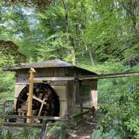 【東京町田】美しい池と植物の楽園