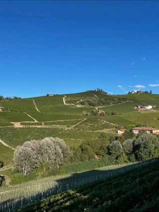 Relaxing in Style at Villa Garassino