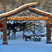 แนะนำที่พักที่ Snow Vally Haitao Inn