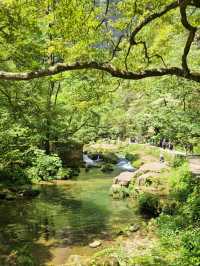 My Dreamlike Trek Through Yuanjiajie