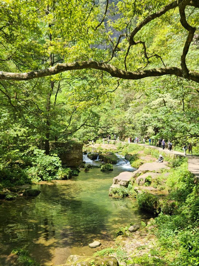 My Dreamlike Trek Through Yuanjiajie