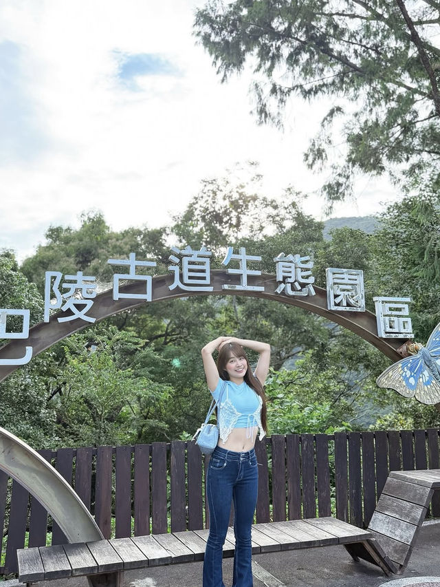 桃園拉拉山超美星空🌃