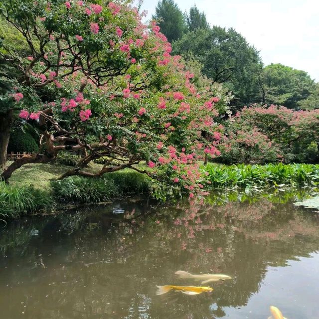 參觀日本天皇的家及皇居週邊