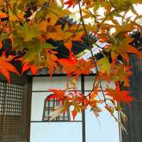 【龍神信仰の証】室生龍穴神社 拝殿と手水舎に刻まれた歴史