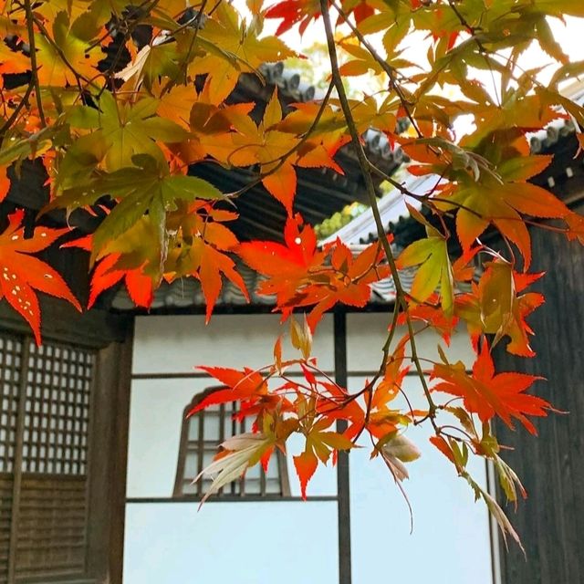 【龍神信仰の証】室生龍穴神社 拝殿と手水舎に刻まれた歴史