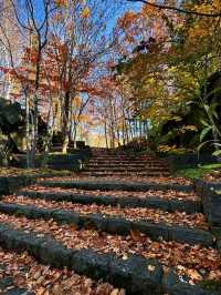 TAKINO SUZURAN HILLSIDE NATIONAL GOVERNMENT PARK.