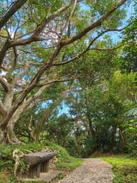 🌿2025 微笑山線大縱走・尋寶集章任務 🌿