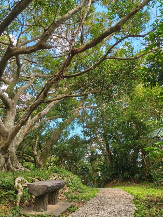 🌿2025 微笑山線大縱走・尋寶集章任務 🌿