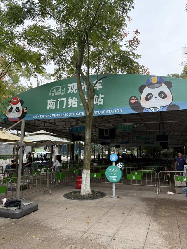 成都必親親大熊貓🐼 成都必親親大熊貓🐼