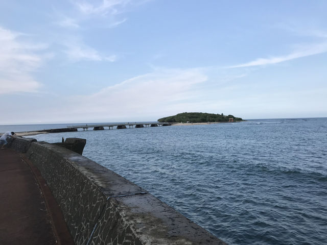 【宮崎】青島神社で叶える恋の願い🌴南国の縁結び旅💖