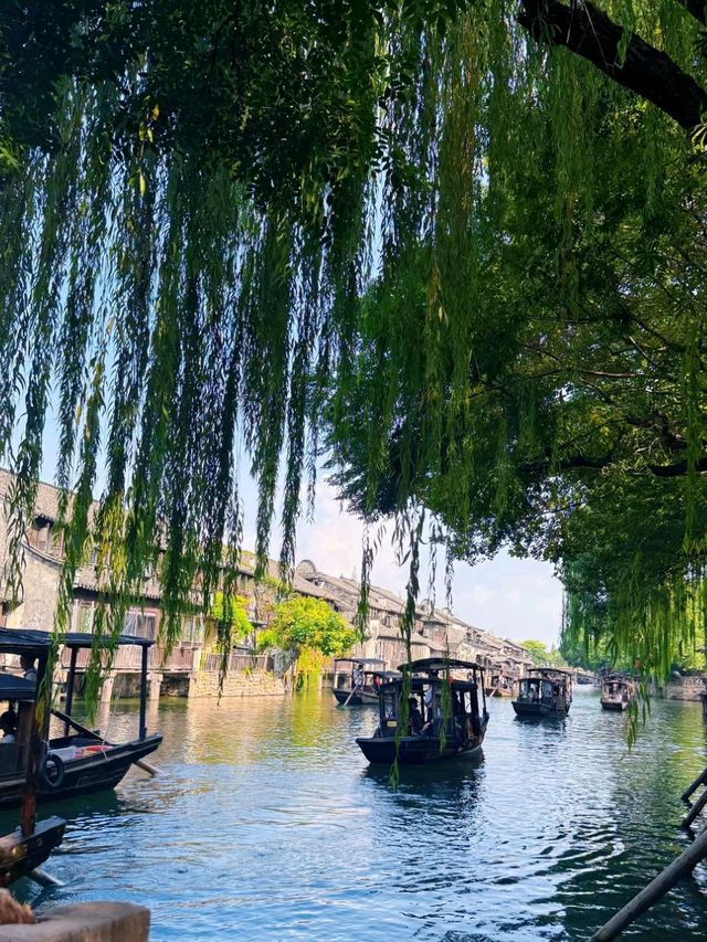 Old Streets and New Discoveries: Why Dongzha Deserves a Visit