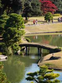 江戸期を代表する大名庭園 雪吊りと紅葉のリフレは絶景!