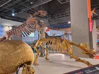 🌌 Interactive Wonders at Gwacheon National Science Museum