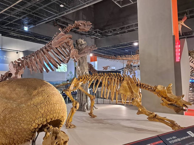 🌌 Interactive Wonders at Gwacheon National Science Museum