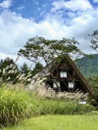 🌾 Golden September in Shirakawa-go, Gifu