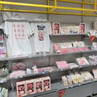 12 Days in Nagoya