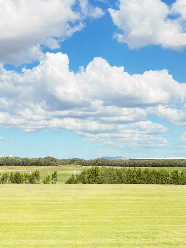 🌿 Brisbane's Hidden Gem: The Enchanting Meadow Under Endless Blue Skies! ☁️