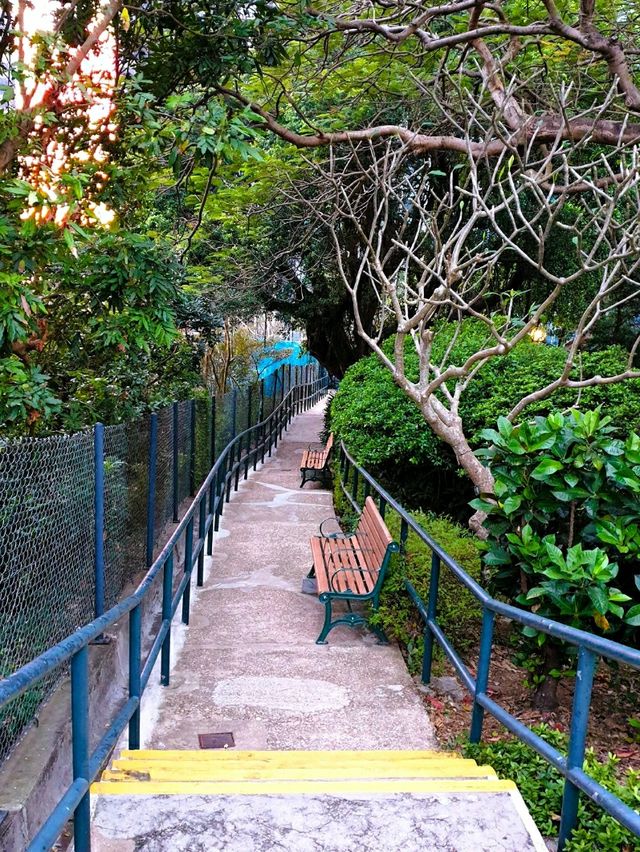 수직의 홍콩, 아침의 시작 ☀️