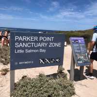 Quokka Paradise Found