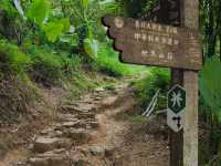 🏞️【台北大縱走】環繞台北101的絕美天際線 🌇