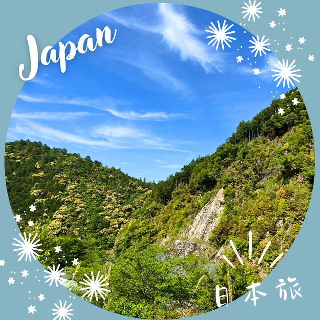【和歌山】深い森に包まれる道、小雲取越🌳 【和歌山】深い森に包まれる道、小雲取越🌳