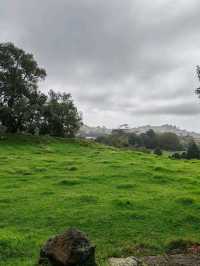 Cornwall Park, Auckland: Where History Meets Nature