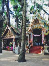 คำชะโนด