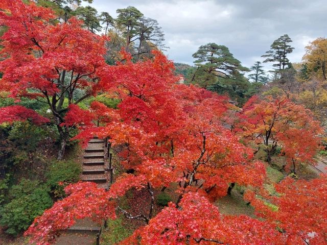 冬だけじゃない！秋の新潟もオススメ🎃🍁🍄