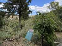 Botanical Garden of Crete