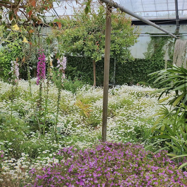 Jeju herb garden