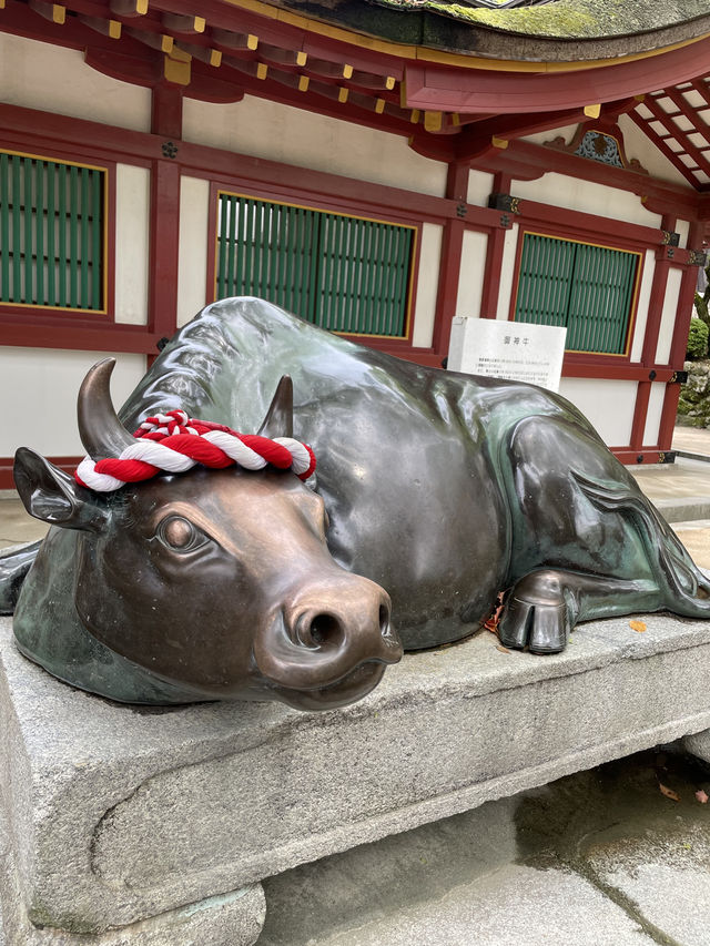 🍜紅葉とグルメで満喫する秋の博多旅🍂 🍜紅葉とグルメで満喫する秋の博多旅🍂