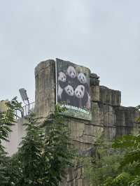 꿈과 환상의 나라 에버랜드로 오세요😁