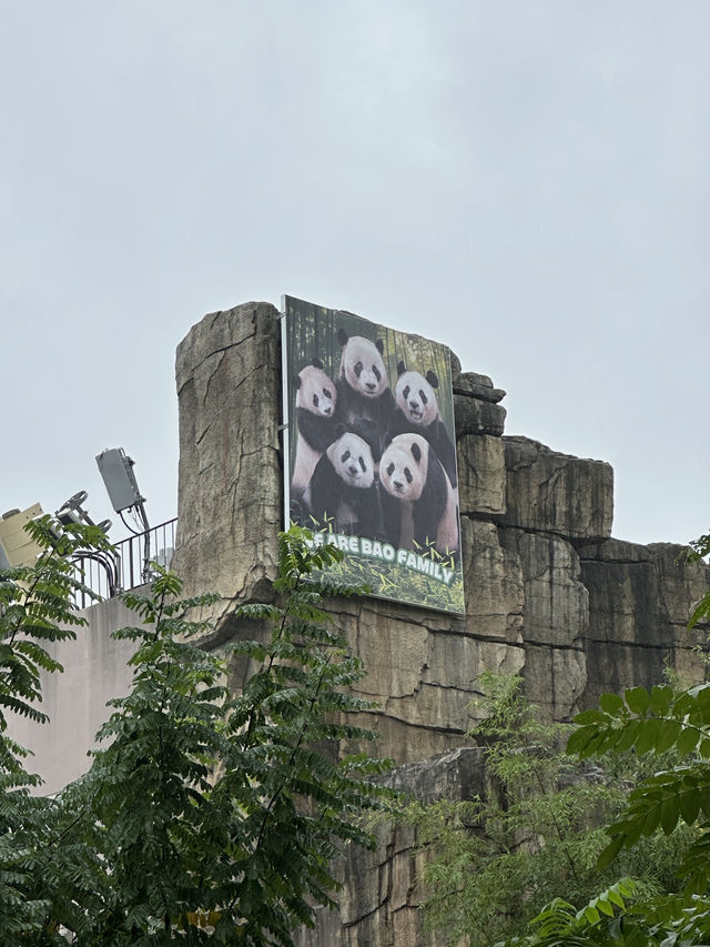 꿈과 환상의 나라 에버랜드로 오세요😁