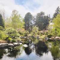 The Soloist's Mile-High Zen: Shofu-en Revisited