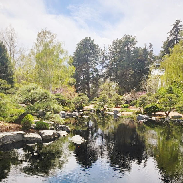 The Soloist's Mile-High Zen: Shofu-en Revisited