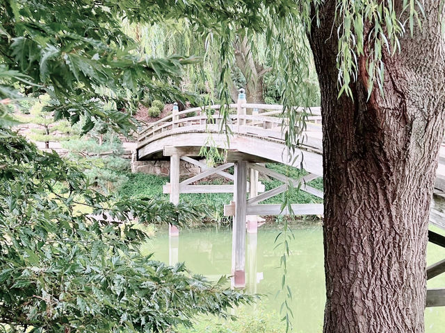 A Solo Serenade to Early Autumn: Elizabeth Hubert Malott Japanese Garden