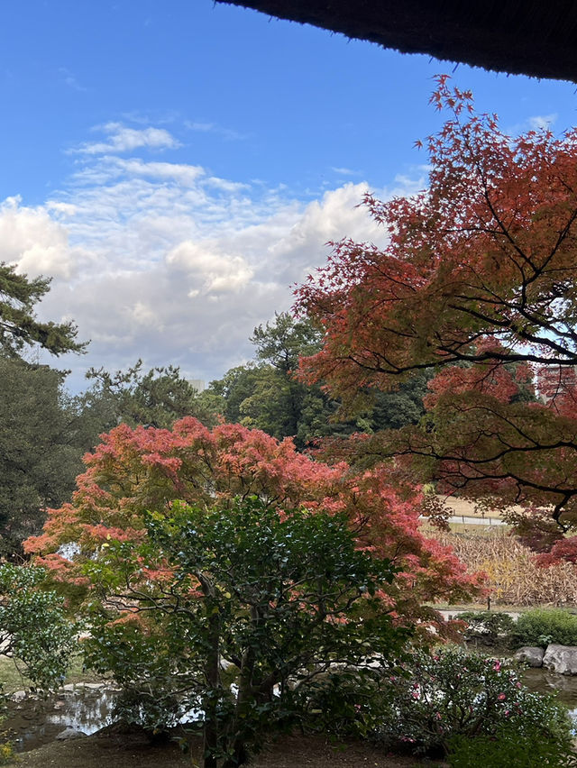 11월에 가면 단풍 맛집 다카마쓰 리쓰린 공원 11월에 가면 단풍 맛집 다카마쓰 리쓰린 공원