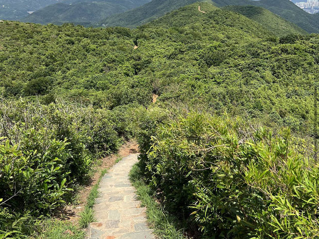 Dragon's Back 龍脊 Dragon's Back 龍脊