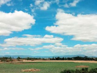 Tasmanian Seafood Feast You Can't Resist