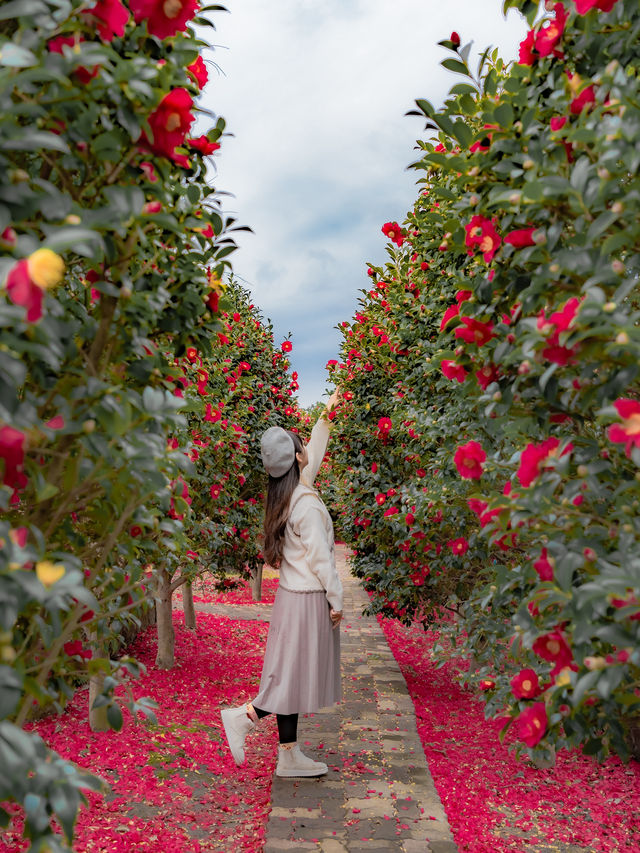 ์ ์ฃผ ๋๋ฐฑ ํ์๋ก ๊ฐ์ผํ๋ ๊ณณ๐บ ์ ์ฃผ ๋๋ฐฑ ํ์๋ก ๊ฐ์ผํ๋ ๊ณณ๐บ