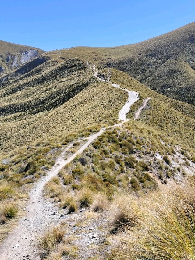 【クイーンズタウン】絶景！Ben Lomond登山＆Skylineゴンドラ体験