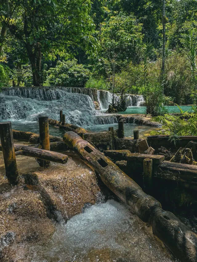 Emerald Waves of a Natural Waterfall