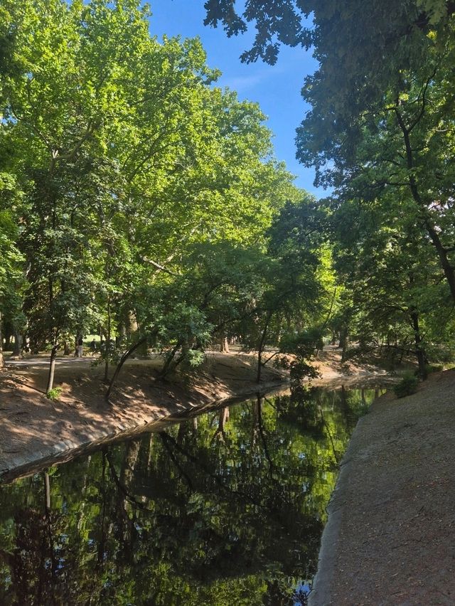 헝가리 부다페스트 여행 : 자유로운 city park 🇭🇺