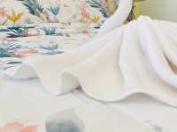 ปางสูงเฮ้าส์