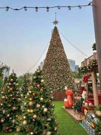 Where the Harbor Wears a Crown of Light